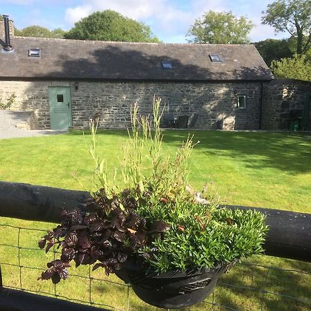 The Bakery Llanddeiniol Exterior foto